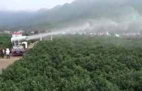 广西贺州大型果园林植保除虫
